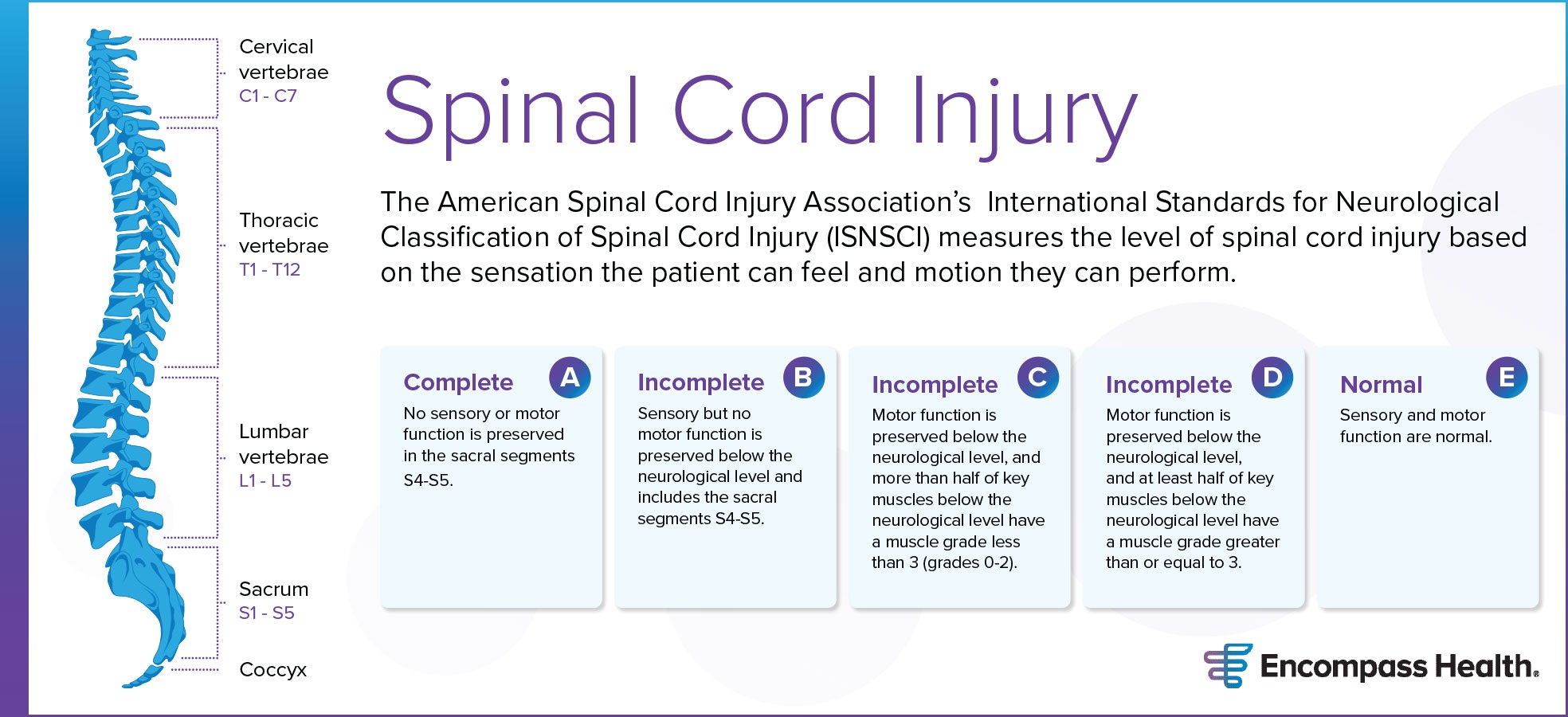 Types Of Spinal Cord Injury And Recovery Options