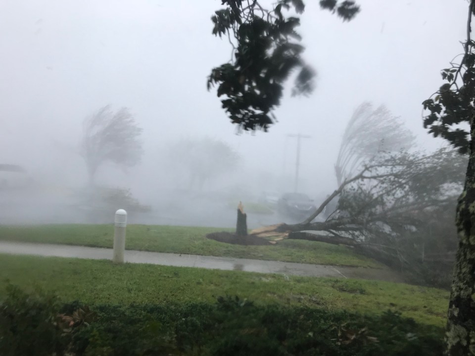 Hurricane Michael's winds tear down trees at Encompass Health Panama City