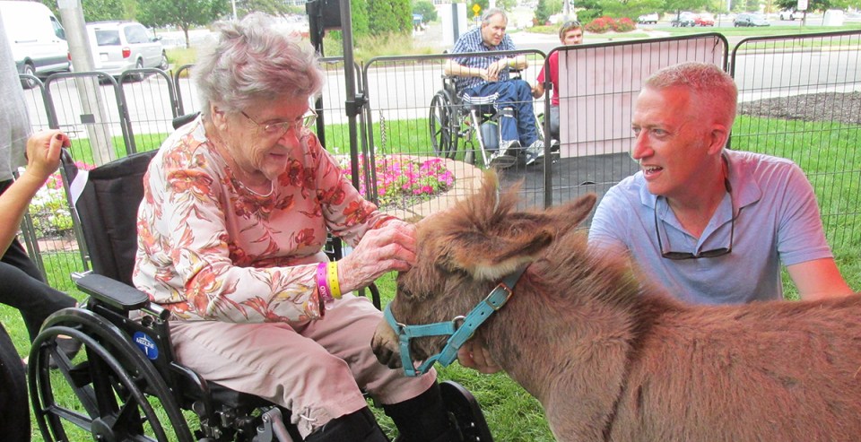 An Encompass Health patient petting a miniature therapy horse.