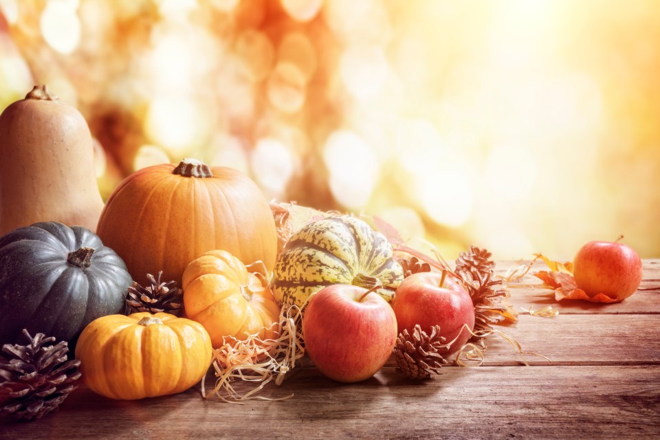 Thanksgiving, fall or autumn greeting background with pumpkin
