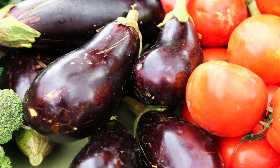 eggplant and tomatoes