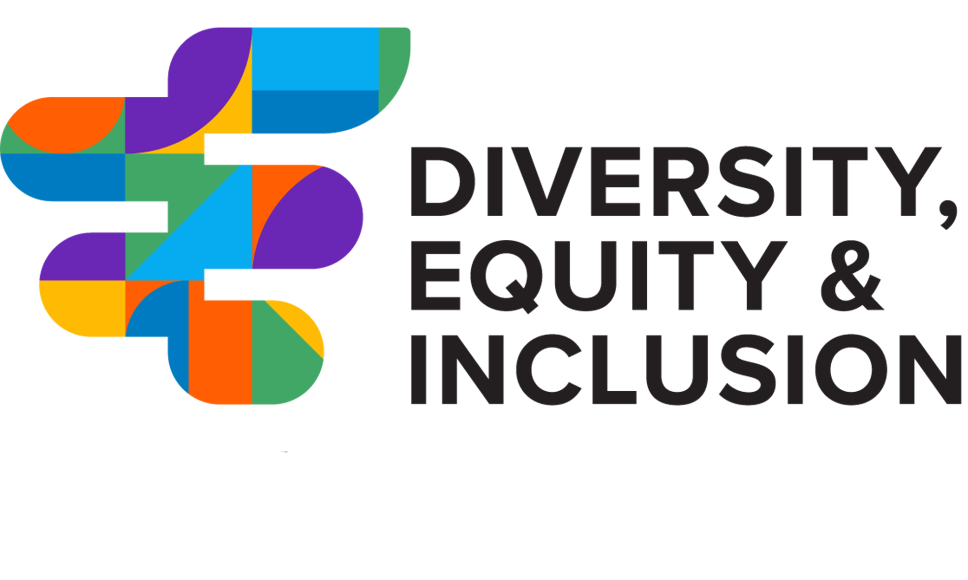 What Is Diversity Equity Inclusion