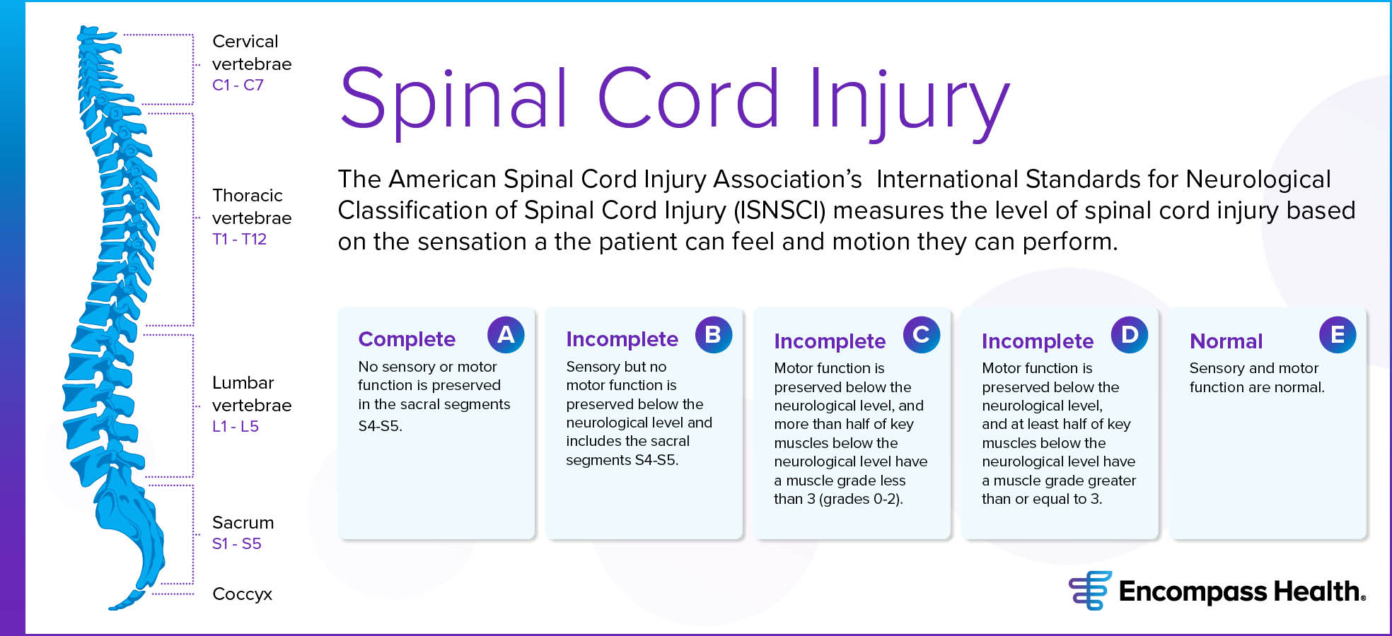 Spinal Cord Injury Types And Recovery