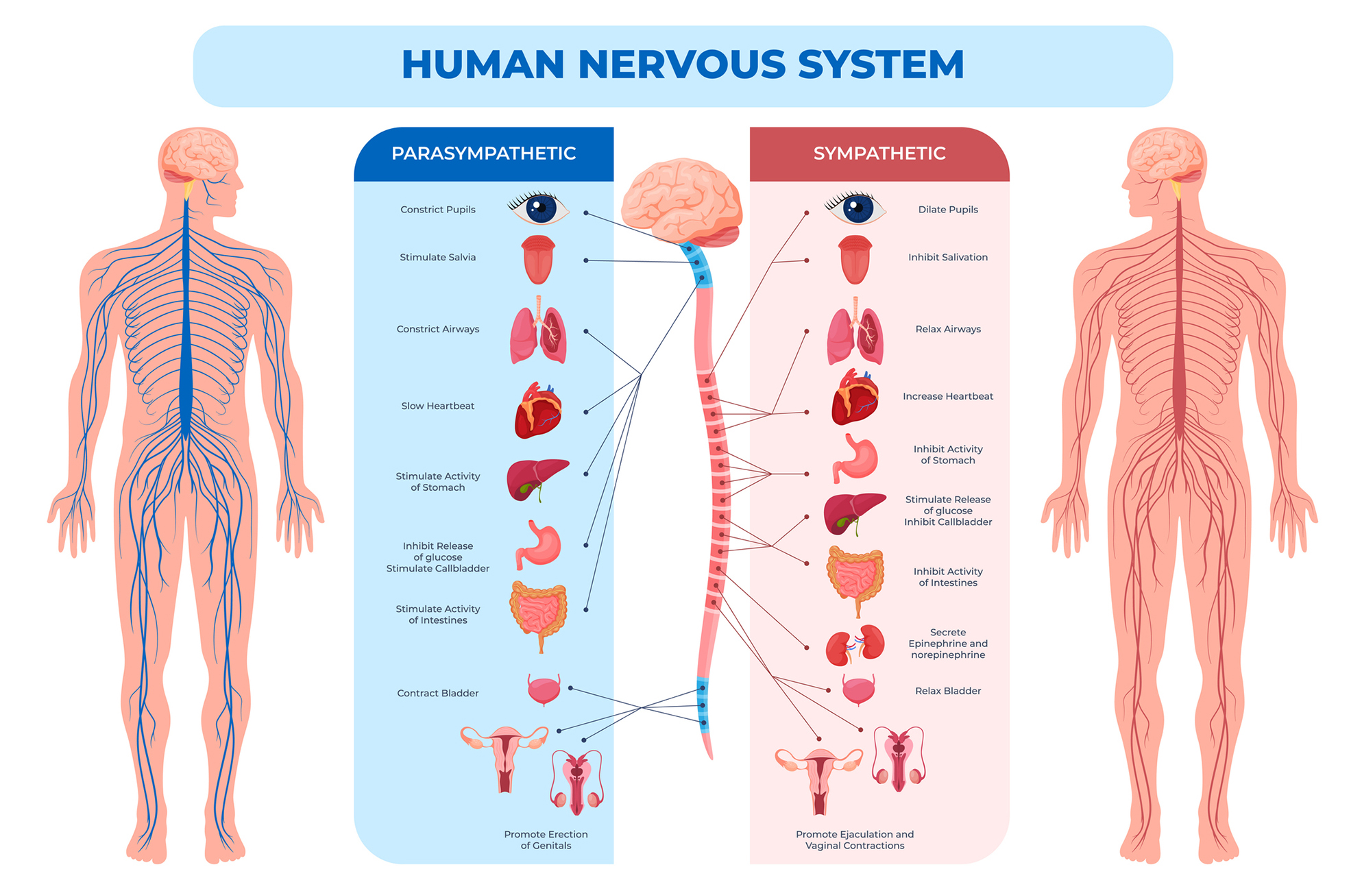 Disorders of the Nervous System